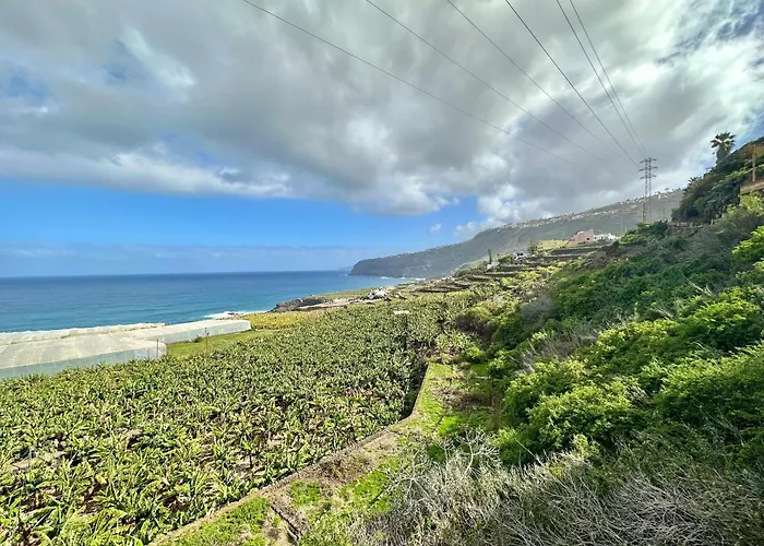 Casa Dalia * Ля Оротава